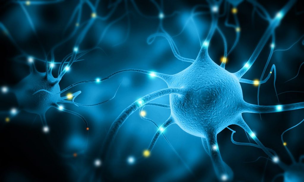 The NINDS Human Cell and Data Repository Providing iPSCs and